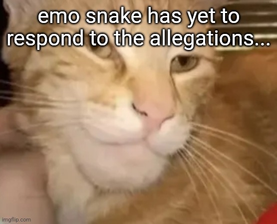 cat mewing | emo snake has yet to respond to the allegations... | image tagged in cat mewing | made w/ Imgflip meme maker