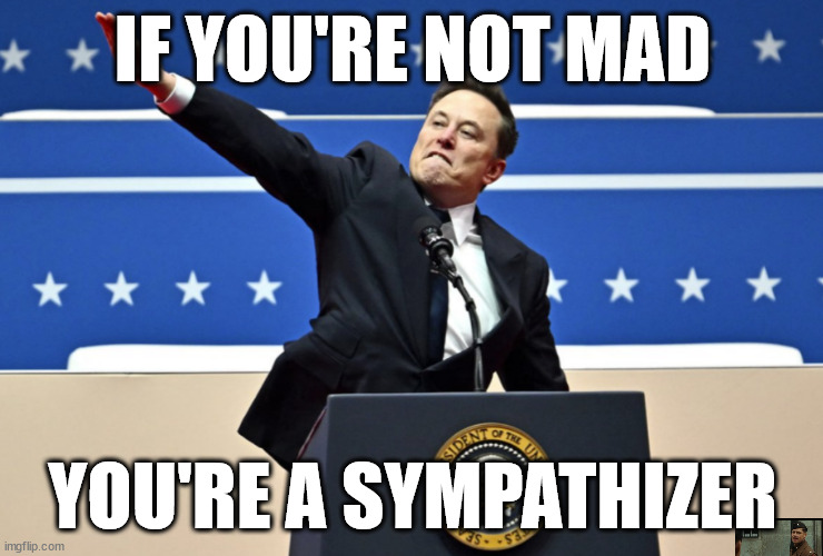 sympathizers be simping | IF YOU'RE NOT MAD; YOU'RE A SYMPATHIZER | image tagged in nazi elon | made w/ Imgflip meme maker