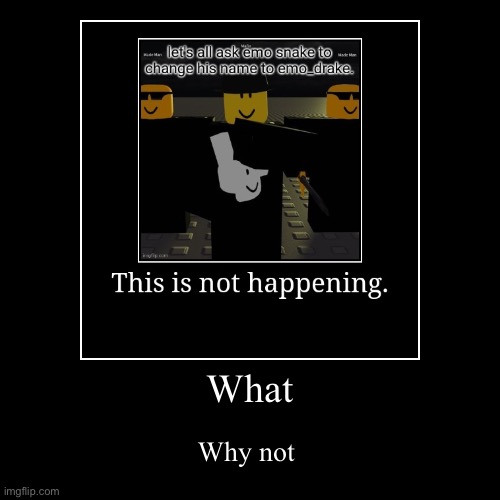 What | Why not | image tagged in funny,demotivationals | made w/ Imgflip demotivational maker