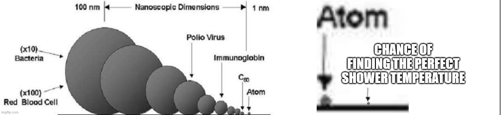 showers fr | CHANCE OF FINDING THE PERFECT SHOWER TEMPERATURE | image tagged in smallest in the universe | made w/ Imgflip meme maker