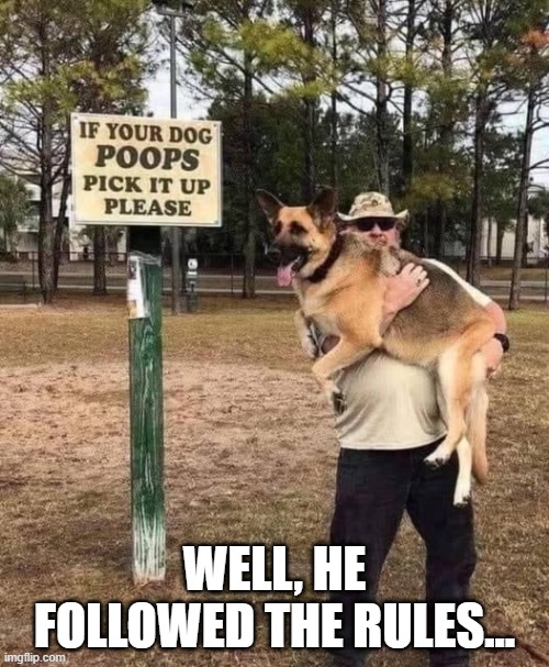 Pick Up Your Dog | WELL, HE FOLLOWED THE RULES... | image tagged in dogs | made w/ Imgflip meme maker