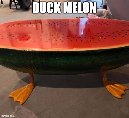 Duck Melon | DUCK MELON | image tagged in ducks | made w/ Imgflip meme maker
