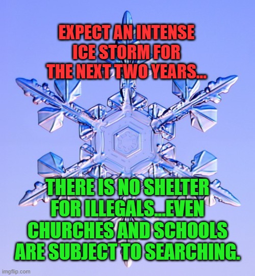 Special snowflake | EXPECT AN INTENSE ICE STORM FOR THE NEXT TWO YEARS... THERE IS NO SHELTER FOR ILLEGALS...EVEN CHURCHES AND SCHOOLS ARE SUBJECT TO SEARCHING. | image tagged in special snowflake | made w/ Imgflip meme maker