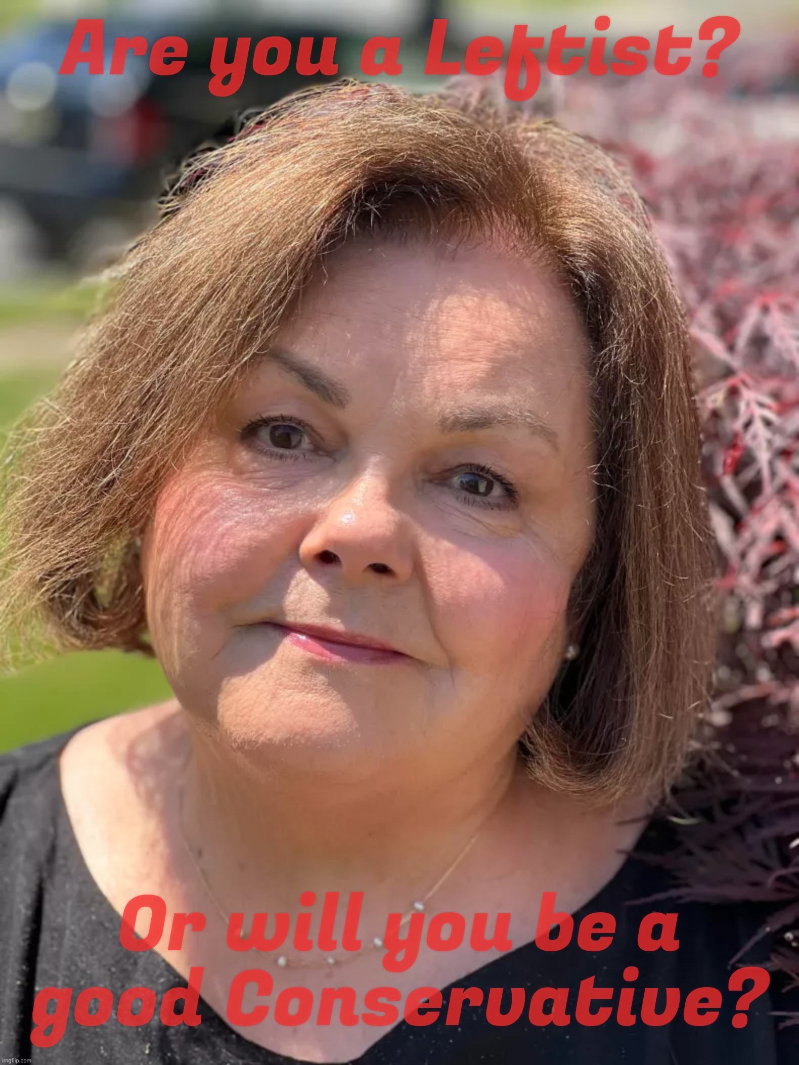 Old fat Karen, keep on rollin',Mississippi loon, don't you keep on shinin' on me | Are you a Leftist? Or will you be a
good Conservative? | image tagged in old fat karen,you leftist,free hugs for good conservatives,conservative hypocrisy,magats,get a hobby | made w/ Imgflip meme maker