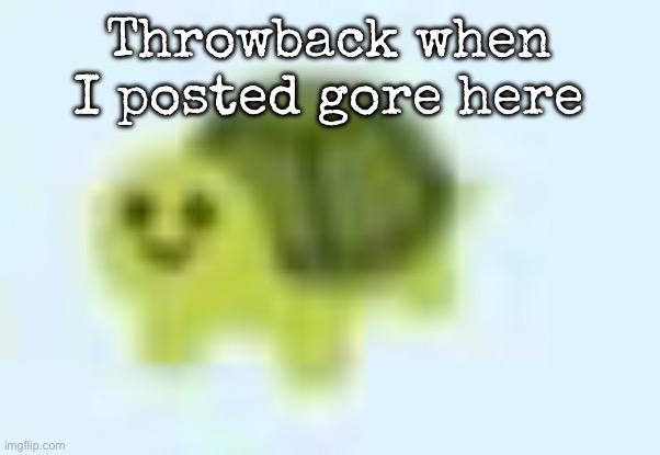 I did, tho nobody saw it | Throwback when I posted gore here | image tagged in low quality turtle,msmg | made w/ Imgflip meme maker