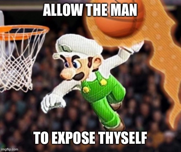 Luigi balling on them Hoes | ALLOW THE MAN; TO EXPOSE THYSELF | image tagged in luigi balling on them hoes | made w/ Imgflip meme maker