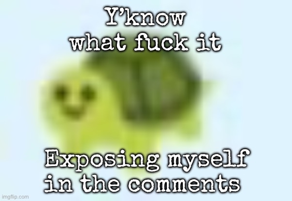 Yes | Y’know what fuck it; Exposing myself in the comments | image tagged in low quality turtle,msmg | made w/ Imgflip meme maker