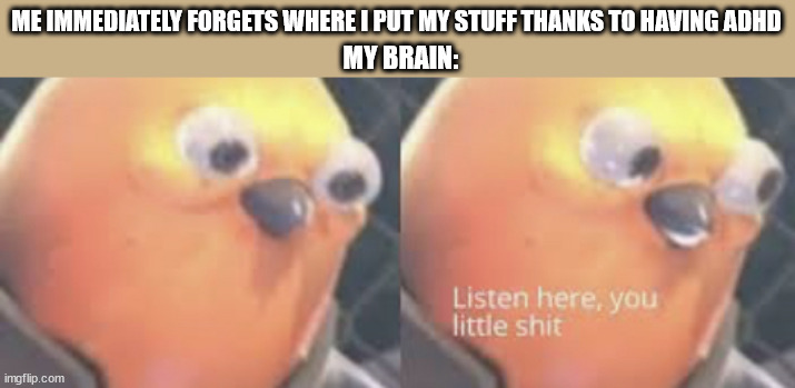 ADHD in a nutshell (last nutshell meme for the month) | ME IMMEDIATELY FORGETS WHERE I PUT MY STUFF THANKS TO HAVING ADHD; MY BRAIN: | image tagged in listen here you little shit bird | made w/ Imgflip meme maker