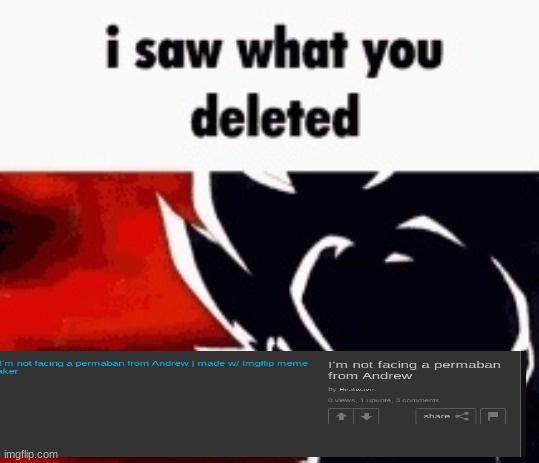 i saw what you deleted | image tagged in i saw what you deleted | made w/ Imgflip meme maker