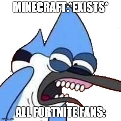 MINECRAFT IS TOP VIDEO GAME | MINECRAFT:*EXISTS*; ALL FORTNITE FANS: | image tagged in disgusted mordecai | made w/ Imgflip meme maker