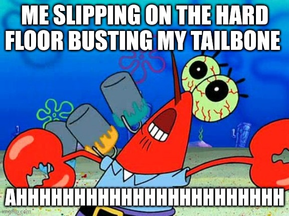 Real it hurts really bad | ME SLIPPING ON THE HARD FLOOR BUSTING MY TAILBONE; AHHHHHHHHHHHHHHHHHHHHHHH | image tagged in oww my dolphin noise foot | made w/ Imgflip meme maker