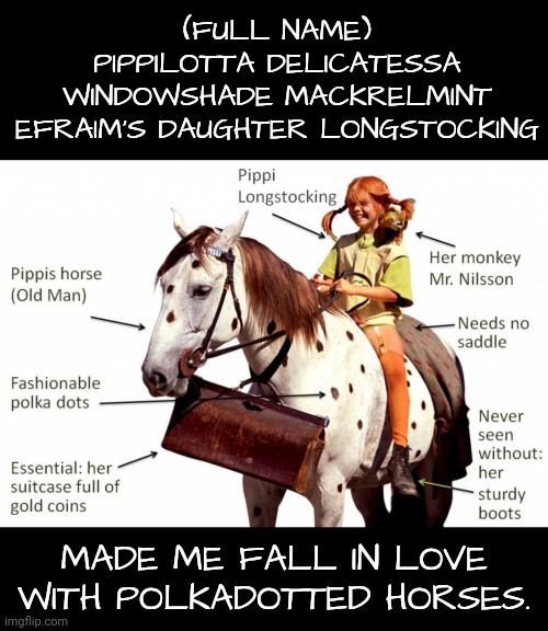 (FULL NAME)
PIPPILOTTA DELICATESSA WINDOWSHADE MACKRELMINT EFRAIM'S DAUGHTER LONGSTOCKING MADE ME FALL IN LOVE WITH POLKADOTTED HORSES. | made w/ Imgflip meme maker