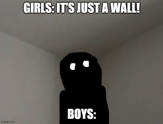 Proof that boys see dark places as more creepy than girls | GIRLS: IT'S JUST A WALL! BOYS: | image tagged in house corner | made w/ Imgflip meme maker