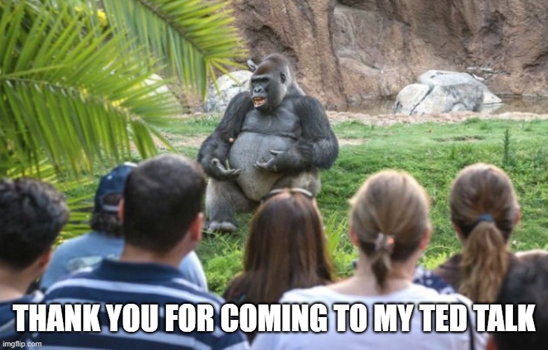 ted talk gorilla | THANK YOU FOR COMING TO MY TED TALK | image tagged in ted talk gorilla | made w/ Imgflip meme maker