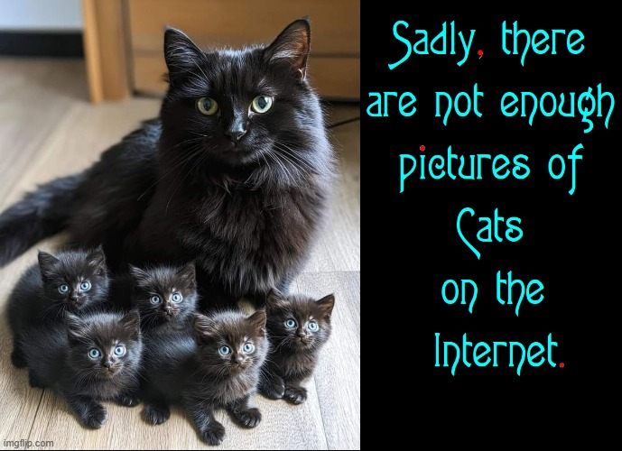 What the World Needs Now: Cat Pictures! | image tagged in vince vance,cats,black cats,kittens,funny cat memes,meow | made w/ Imgflip meme maker