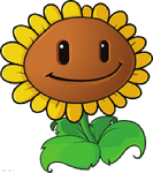 Sunflower | image tagged in sunflower | made w/ Imgflip meme maker