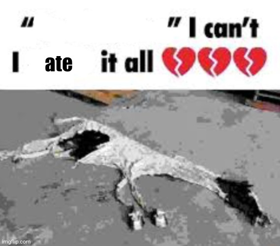 I can't I X it all | ate | image tagged in i can't i x it all | made w/ Imgflip meme maker