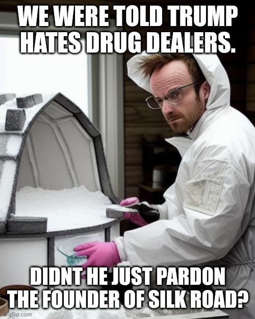 Snowcones | WE WERE TOLD TRUMP HATES DRUG DEALERS. DIDNT HE JUST PARDON THE FOUNDER OF SILK ROAD? | image tagged in snowcones | made w/ Imgflip meme maker