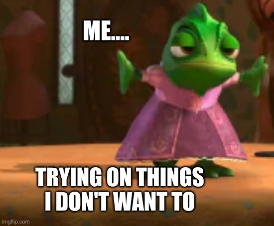 Pascal | ME.... TRYING ON THINGS I DON'T WANT TO | image tagged in funny animal meme,funny animals | made w/ Imgflip meme maker