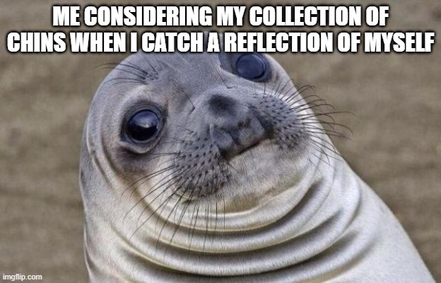 Chins | ME CONSIDERING MY COLLECTION OF CHINS WHEN I CATCH A REFLECTION OF MYSELF | image tagged in memes,awkward moment sealion | made w/ Imgflip meme maker