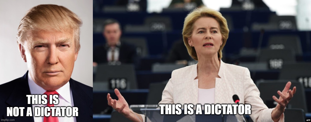 THIS IS A DICTATOR; THIS IS NOT A DICTATOR | image tagged in donald trump,von der leyen | made w/ Imgflip meme maker