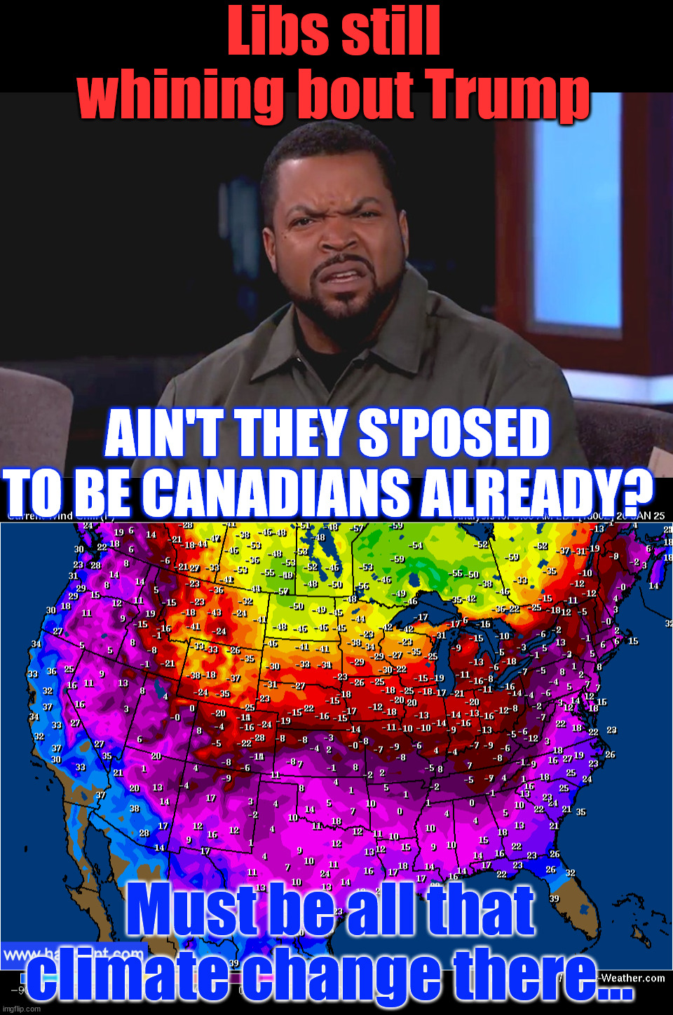 Must be all that climate change there... | Libs still whining bout Trump; AIN'T THEY S'POSED TO BE CANADIANS ALREADY? Must be all that climate change there... | image tagged in really ice cube,libs,lied about moving to canada | made w/ Imgflip meme maker