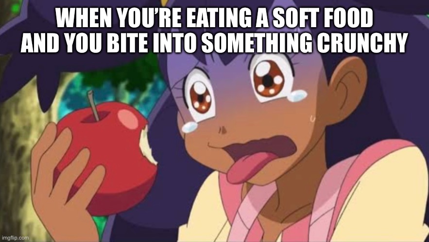 Iris deserved to be memed more. | WHEN YOU’RE EATING A SOFT FOOD AND YOU BITE INTO SOMETHING CRUNCHY | image tagged in pokemon,food,food memes | made w/ Imgflip meme maker