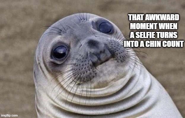 Chins and selfies | THAT AWKWARD MOMENT WHEN A SELFIE TURNS INTO A CHIN COUNT | image tagged in memes,awkward moment sealion | made w/ Imgflip meme maker