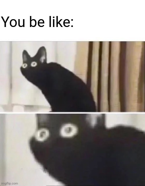 Oh No Black Cat | You be like: | image tagged in oh no black cat | made w/ Imgflip meme maker