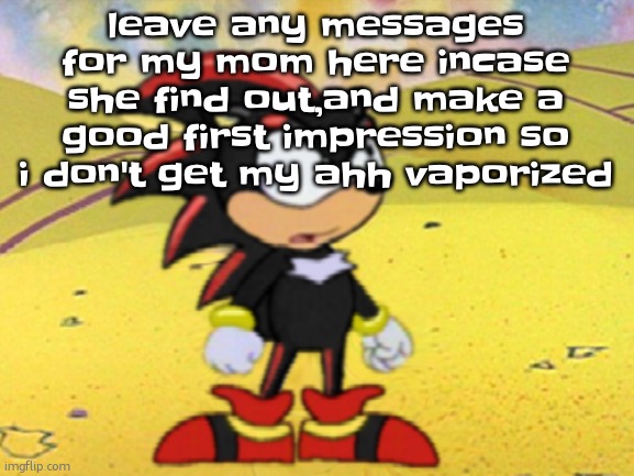 mom if you seeing ts don't get mad | leave any messages for my mom here incase she find out,and make a good first impression so i don't get my ahh vaporized | image tagged in adventures of shadow the hedgehog | made w/ Imgflip meme maker