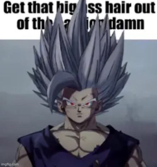 Big ahh hair | image tagged in beast gohan,dbz,dbs,gohan,stop reading the tags | made w/ Imgflip meme maker