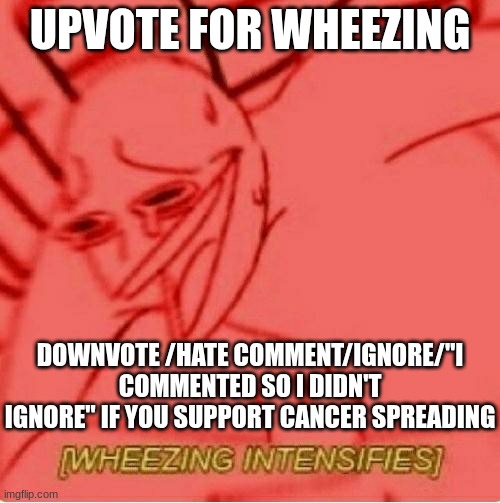 Wheeze | UPVOTE FOR WHEEZING; DOWNVOTE /HATE COMMENT/IGNORE/"I COMMENTED SO I DIDN'T IGNORE" IF YOU SUPPORT CANCER SPREADING | image tagged in wheeze | made w/ Imgflip meme maker