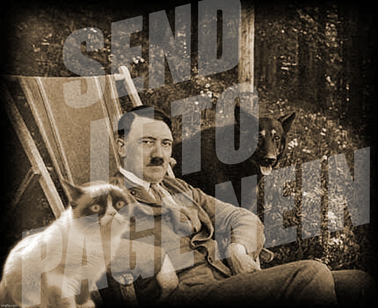 Grumpy Cat with Hitler | SEND IT TO PAGE NEIN | image tagged in grumpy cat with hitler | made w/ Imgflip meme maker