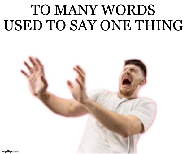 TO MANY WORDS USED TO SAY ONE THING | image tagged in he left all caps on custom | made w/ Imgflip meme maker