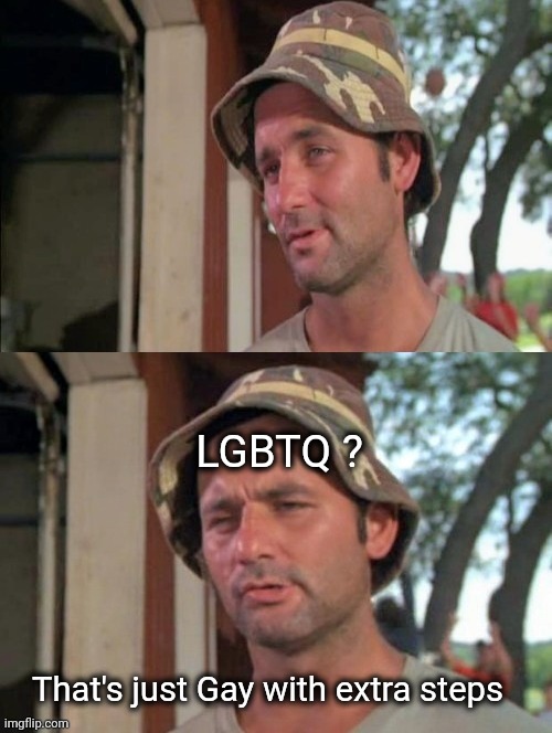 Carl tells a joke | LGBTQ ? That's just Gay with extra steps | image tagged in carl tells a joke | made w/ Imgflip meme maker