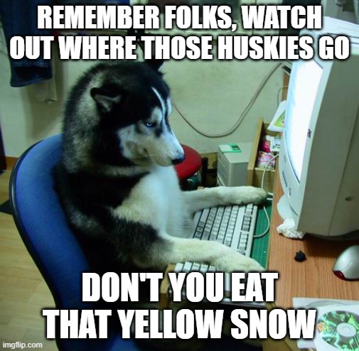 I Have No Idea What I Am Doing | REMEMBER FOLKS, WATCH OUT WHERE THOSE HUSKIES GO; DON'T YOU EAT THAT YELLOW SNOW | image tagged in memes,i have no idea what i am doing | made w/ Imgflip meme maker