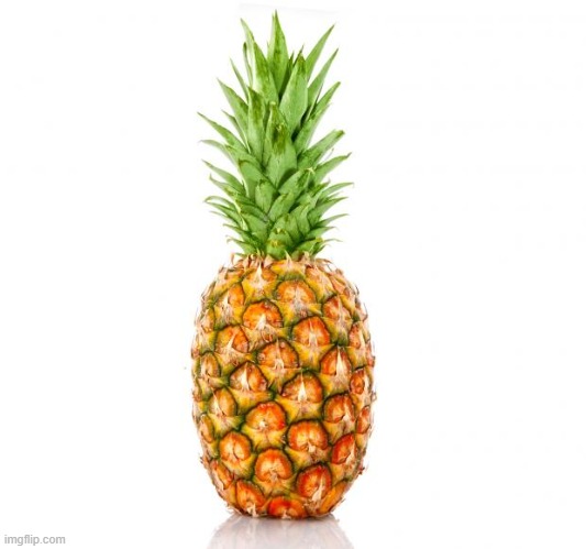 Pineapple | image tagged in pineapple | made w/ Imgflip meme maker