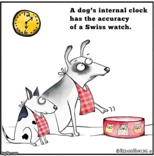 Internal clock | image tagged in repost,internal clock | made w/ Imgflip meme maker