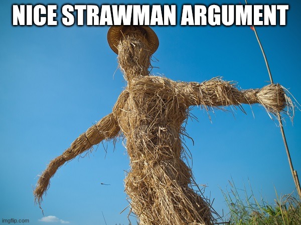 Strawman | NICE STRAWMAN ARGUMENT | image tagged in strawman | made w/ Imgflip meme maker