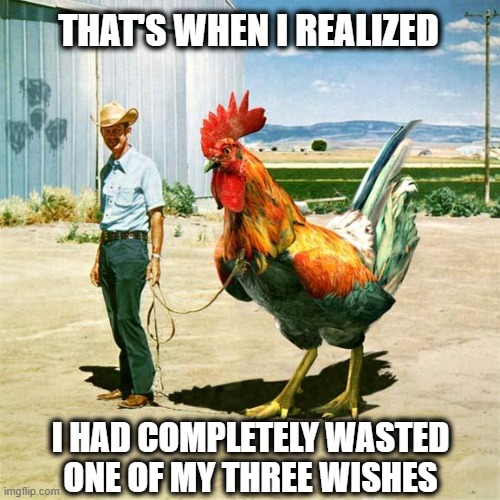 Giant chicken | THAT'S WHEN I REALIZED; I HAD COMPLETELY WASTED ONE OF MY THREE WISHES | image tagged in giant,cock | made w/ Imgflip meme maker