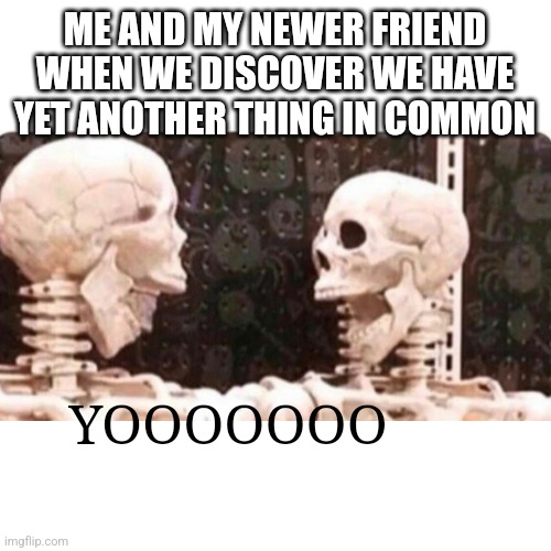 Ya learn smthn new every day | ME AND MY NEWER FRIEND WHEN WE DISCOVER WE HAVE YET ANOTHER THING IN COMMON; YOOOOOOO | image tagged in shocked skeletons,memes,friends | made w/ Imgflip meme maker