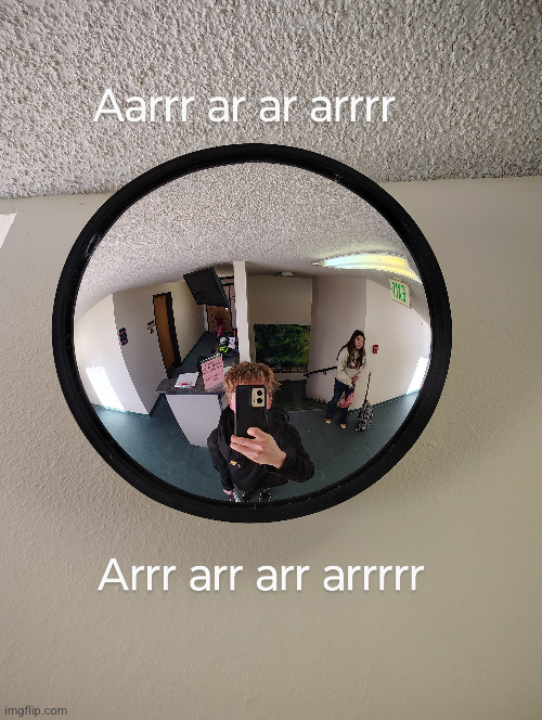 lowkey found this mirror and knew what I had to do | image tagged in fnaf,mirror,arr arr arr arr,funny,video games,five nights at freddys | made w/ Imgflip meme maker