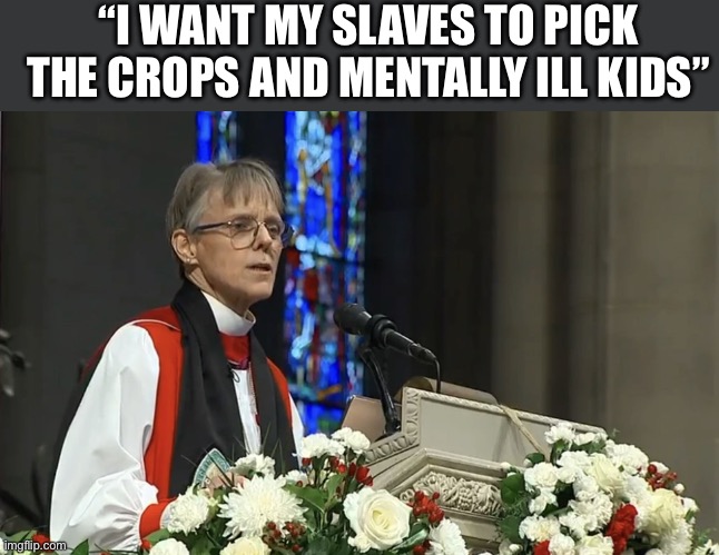 Political Sermons | “I WANT MY SLAVES TO PICK THE CROPS AND MENTALLY ILL KIDS” | image tagged in mariann budde meme,politics,political meme | made w/ Imgflip meme maker