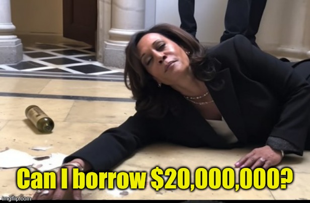 drunk kamala | Can I borrow $20,000,000? | image tagged in drunk kamala | made w/ Imgflip meme maker