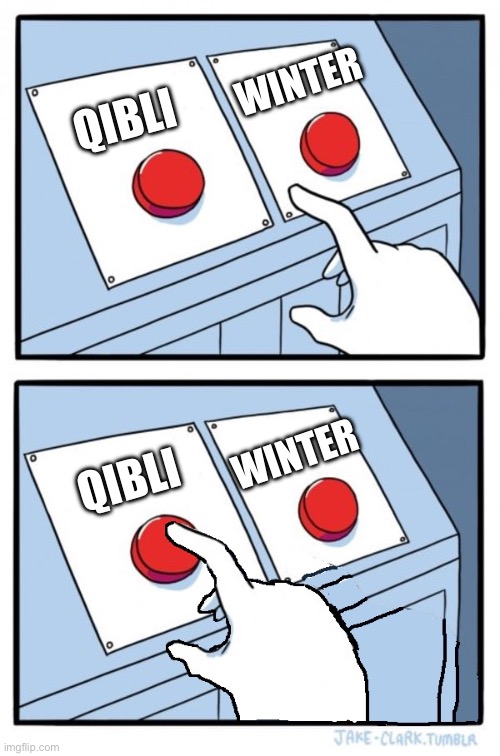 Moon watcher in a nutshell | WINTER; QIBLI; WINTER; QIBLI | image tagged in two buttons one pressed | made w/ Imgflip meme maker