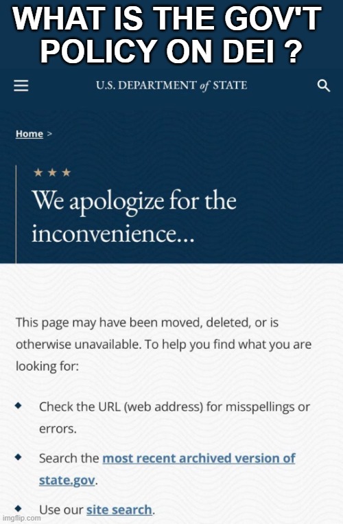 Current Gov't DEI Policy | WHAT IS THE GOV'T 
POLICY ON DEI ? | image tagged in dei | made w/ Imgflip meme maker