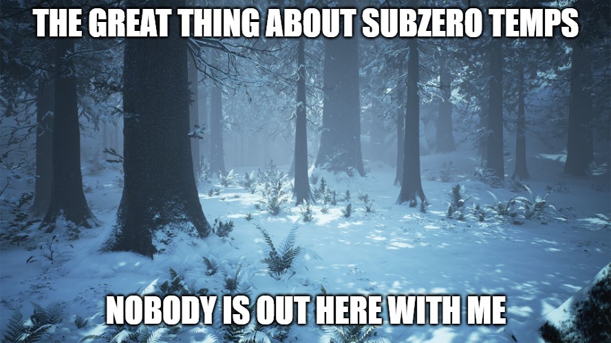 Winter forest aesthetic background | THE GREAT THING ABOUT SUBZERO TEMPS; NOBODY IS OUT HERE WITH ME | image tagged in winter forest aesthetic background | made w/ Imgflip meme maker