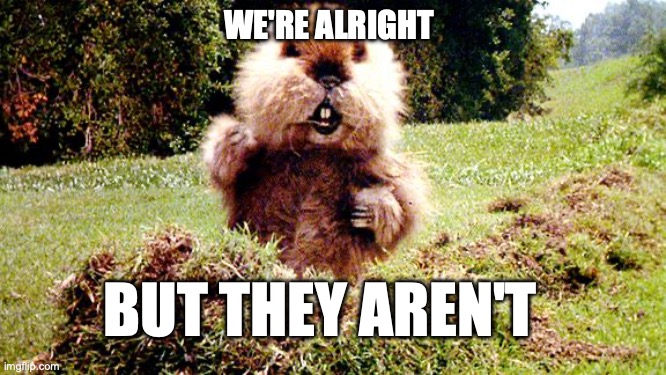 Caddyshack Gopher | WE'RE ALRIGHT BUT THEY AREN'T | image tagged in caddyshack gopher | made w/ Imgflip meme maker