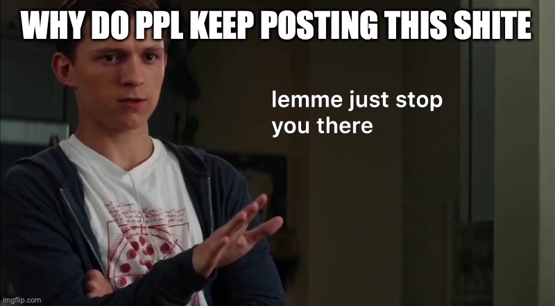 Lemme just stop you there | WHY DO PPL KEEP POSTING THIS SHITE | image tagged in lemme just stop you there | made w/ Imgflip meme maker