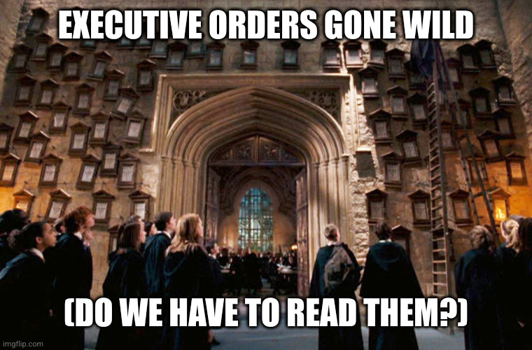 President Donald Trump issues another decree to his minions | EXECUTIVE ORDERS GONE WILD; (DO WE HAVE TO READ THEM?) | image tagged in harry potter decree wall,executive orders,donald trump,memes,overkill,overlord | made w/ Imgflip meme maker